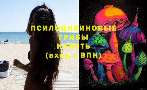 дживик Богородицк