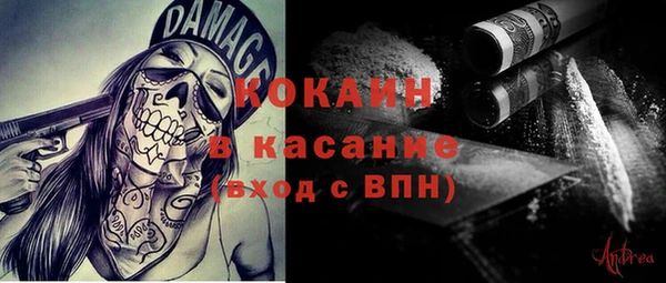 дживик Богородицк
