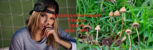 эйфоретик Бронницы