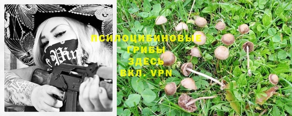 мдма Бородино