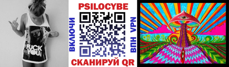 где купить наркоту  Яхрома  Псилоцибиновые грибы GOLDEN TEACHER 